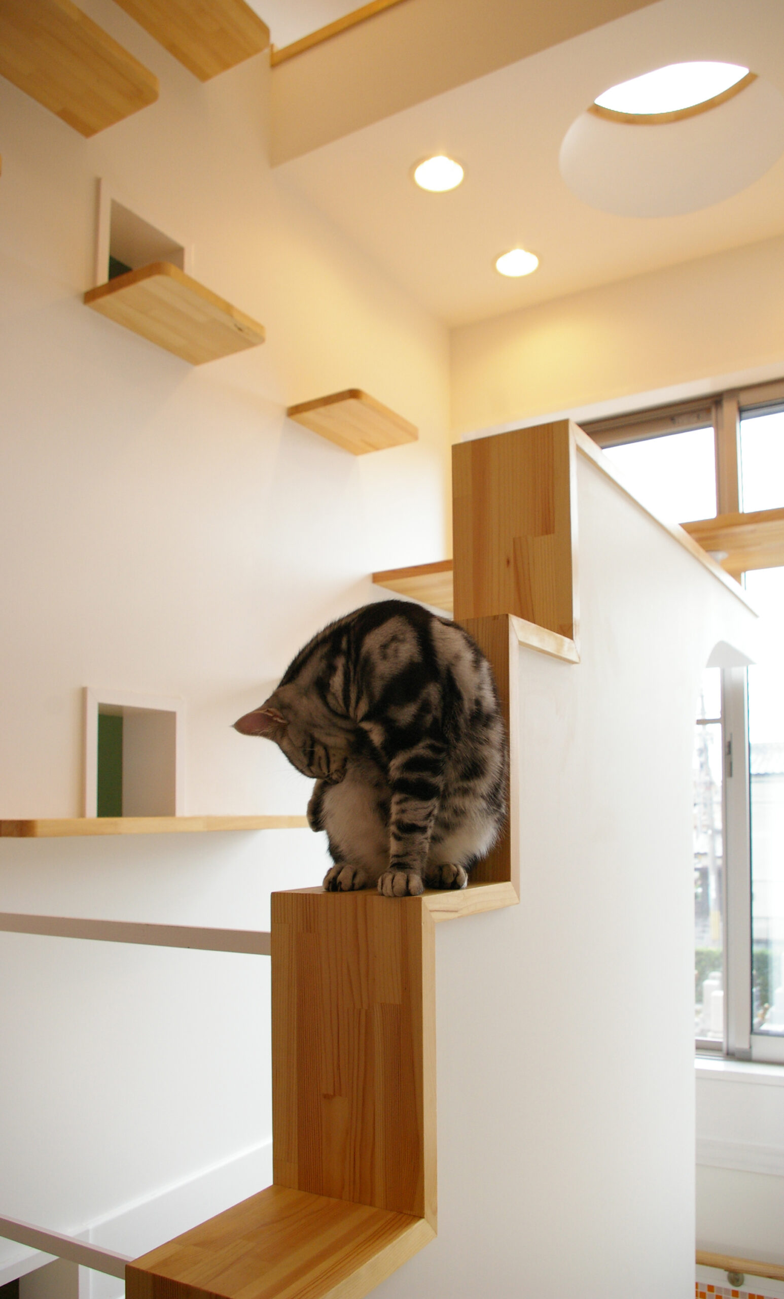 黒い板の部分がキャットウォーク。